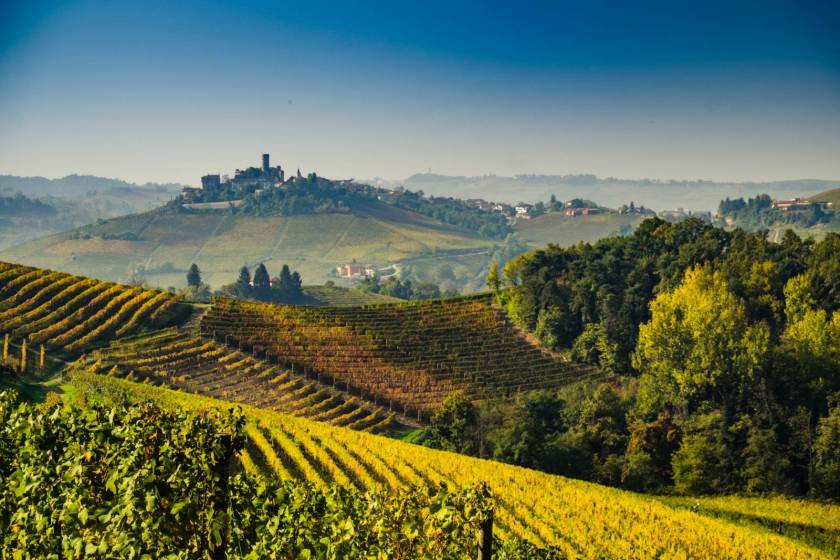 Langhe & Roero