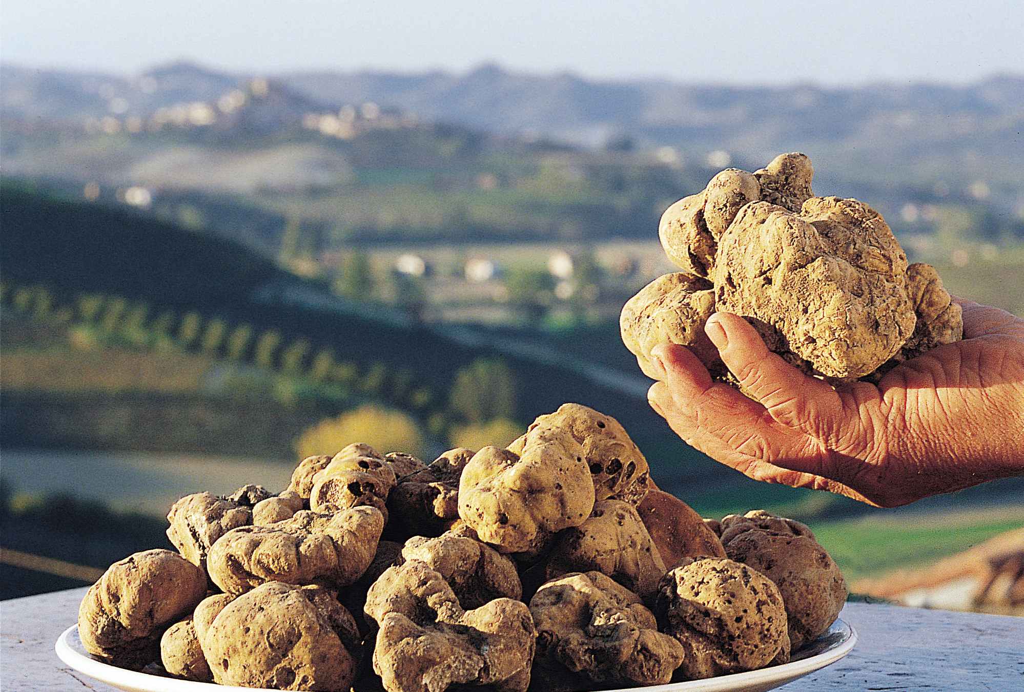 Fiera Internazionale del Tartufo Bianco dâ€™Alba